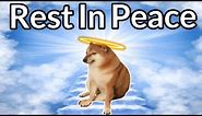 Goodbye to the Legend - Remembering Cheems, the Unforgettable Meme Dog 😢😭