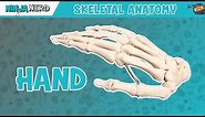 Hand Anatomy | Bones of the Hand