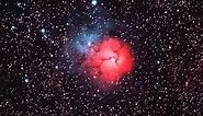 Messier 20: Trifid Nebula
