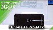 Recovery Mode in iPhone 11 Pro Max - How to Open & Use iOS Recovery