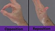 Opposition and Reposition of the Thumb