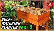 Build a Stunning & Functional Self-Watering Wooden Planter Box (Part 3)