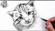 Cómo Dibujar un Gato Pequeño a Lápiz Fácil, Paso a Paso