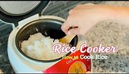 Intro to Korean Rice Cooker: How to cook rice easily, 전기밥솥