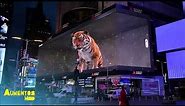 Samsung Tiger in the City - campanha out of home com outdoor 3D