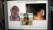 Meet the ancestors... Dmanisi 3: a Homo erectus georgicus teenager with very large teeth