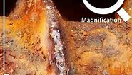 Rusty screw in x100 Magnification #magnification #microscopy #substance #youtubehighfive #microscopy