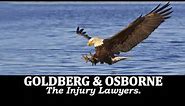 The Eagle Lawyers 1-800-THE-EAGLE - Goldberg & Osborne