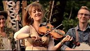 Southern Raised Bluegrass Performs "Orange Blossom Special"