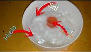 ¿Qué efecto produce la sal sobre el hielo? | Metodo científico