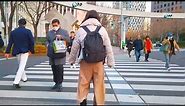 Tokyo Nishi-shinjuku walk - Skyscrapers in winter - Dec. 2023