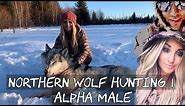 NORTHERN WOLF HUNTING 1