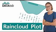 What is a Raincloud Plot? [Simply explained]
