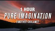 [1 HOUR] Timothée Chalamet - Pure Imagination (Lyrics) from Wonka
