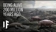 What If You Were Alive 200 Million Years Ago