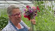 How to grow sweet peas: tips from a sweet pea flower farmer
