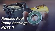 How To: Replace the Bearings in a Pool Pump Motor - Part I