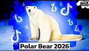 Polar Bear 2026. Creepy Bear meme