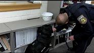 Central Pa. police get dog that can sniff out hidden cell phones, hard drives