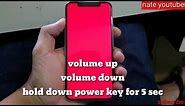 Iphone X red screen solution