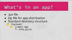 iOS Hacking - Application Basics
