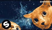 Ummet Ozcan - Spacecats (Official Music Video)