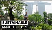 How to Become a Sustainable Architect | Eco-Friendly Design