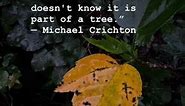 Quote “If you don't know history, then you don't know anything...” — Michael Crichton