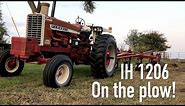 Hay field removal with the IH 1206 and 5 bottom plow
