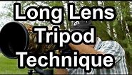 Long Lens Tripod Technique