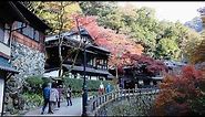 Minoh Falls & Park in Osaka, Japan. Autumn Walking Tour 4k