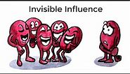 INVISIBLE INFLUENCE: The Hidden Forces that Shape Behavior by Jonah Berger