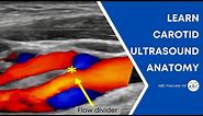 Carotid artery Doppler ultrasound test. Accurate examination to perform a basic ultrasound carotid.