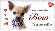 How to make a dog bow collar with Lisa Pay
