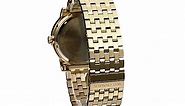 Wittnauer Mens WN3042 22mm Stainless Steel Gold Watch Bracelet