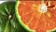 What does it taste like? | How to eat a Vietnamese Green Orange | Cam xành | Cam sành | King orange