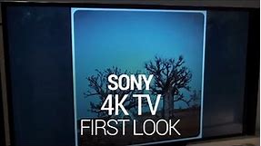 Sony 84" 4K Eyes On!