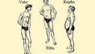The Ayurvedic Body Types and Their Characteristics (Vata Pitta Kapha)