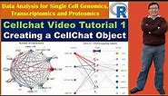 Cellchat Video Tutorial 1: Creating a CellChat object