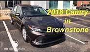2018 Camry LE in Brownstone with ash interior Facebook Live with Gary Pollard The Fist Pump Guy