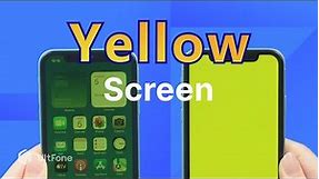 How to Fix iPhone Yellow Screen - iPhone 13/12/11 Pro