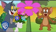Tom & Jerry | Flower Season 🌸 | @WB Kids