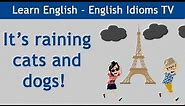 Learn / Teach English Idioms: It's raining cats and dogs!