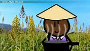 Farming in Ancient China: Lesson for Kids