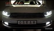 OSRAM OEM: OSRAM H8 COOL BLUE INTENSE for fog light applications (short version)
