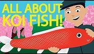 History of Koi Fish | Video Essay Japan