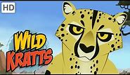 Wild Kratts 🐆🐈🦁 Cool Cats | Kids Videos