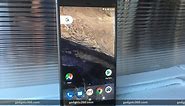 Google Pixel Phones in Pictures