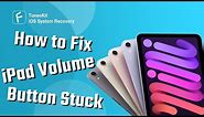 [4 Solutions] Fix iPad Volume Button Stuck Easily