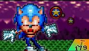 What If Sonic 1 Was More Realistic (Sprite Animation)
